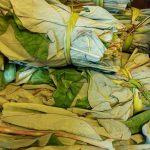 Cocoyam Leaves, Feuilles de Macabo 100g