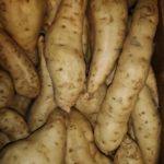 African Sweet potatoes, Süßkartoffel, Patates douce blanche 1kg
