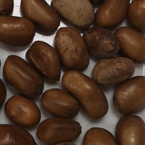 Pébé African Nutmeg, False Nutmeg, African Muscad 70g
